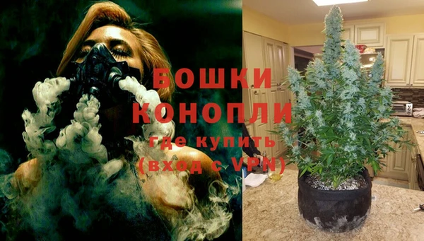 спиды Богданович