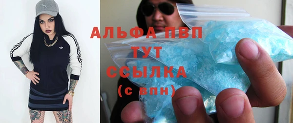 спиды Богданович