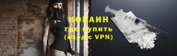спиды Богданович