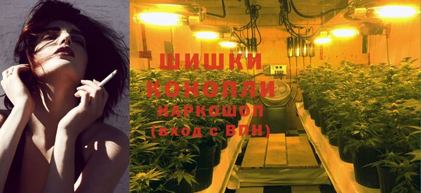 спиды Богданович